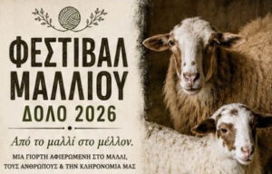 Read more about the article Εργαστήρια στη γιορτή μαλλιού 2026